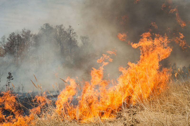 Protecting Your Home from Wildfires in Lancaster